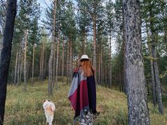 -塞罕坝国家级自然保护区