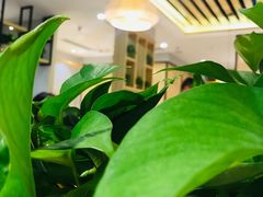 -守柴炉烤鸭(科华中路王府井店)