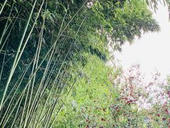 -春晖园度假酒店温泉