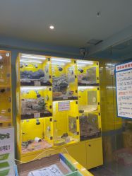 -神奇动物撸宠馆·羊驼·小浣熊·异宠(豫园店)