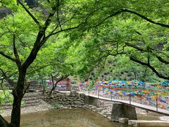 -水墨汀溪风景区