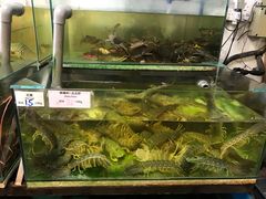 -ZF Seafood Restaurant 卓峰海鲜餐