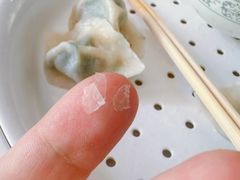 -北戴河集发农业梦想王国