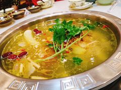 正宗昭通天麻火腿鸡-乙丙丁正宗昭通天麻火腿鸡(总店)