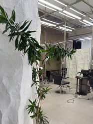 -BOF HAIR BY HONTO