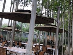 -桉树林A coffee 森林餐厅(三圣乡店)