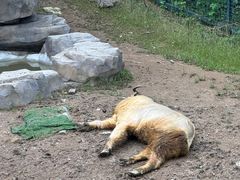 -宁波野生动物园