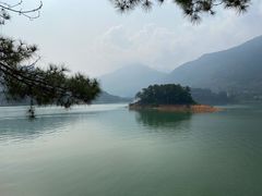 -广州市流溪河国家森林公园