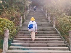 -铁山坪森林公园