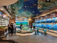 水产区-益利大酒楼(井岸店)