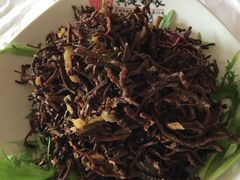 -真定郝家排骨(正定县总店)