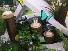 -天虹购物中心(石路店)