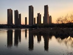 景点-前关湿地公园