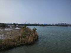 -贡湖湾湿地公园