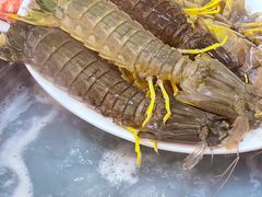 -凯华海鲜火锅·传承三十六年