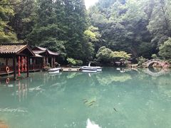 -灵栖洞天