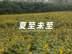 -永康森林公园
