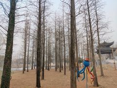 -梁鸿国家湿地公园