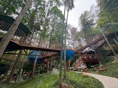 -东明山森林公园