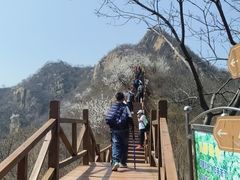 -大岭沟猕猴桃谷风景区