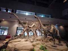 -自贡恐龙博物馆
