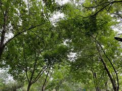 -森林公园(尖草坪区)