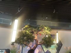 -绿茶餐厅(成都大悦城店)