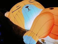 -西安电影制片厂