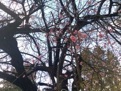 -大冰的小屋(大理古城店)