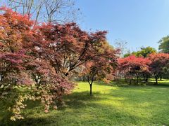 -苏州上方山国家森林公园