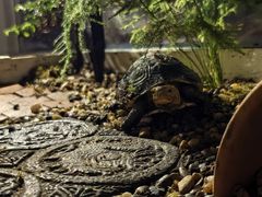 -网猫电竞(高新万达店)