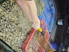 -小海豚•老字号海鲜餐厅(天涯店)