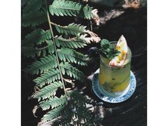 Passion&nbsp;Fruit&nbsp;Mojito-Fern Forest Cafe