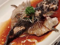-醉辉皇原味海鲜江南菜(成都大魔方店)