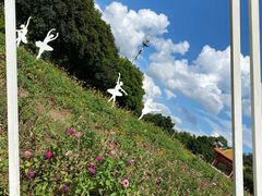 -雀儿山公园