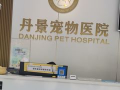 -丹景宠物医院·全科·老年病·牙科(武昌诊疗中心)