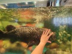 -聚福宝合苑食府(南头镇店)