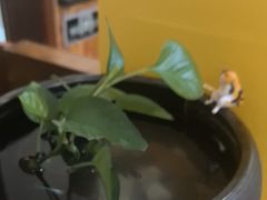 -竹雀古法采耳(青岛麦凯乐店)