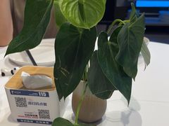 -眉州东坡(华联万柳店)