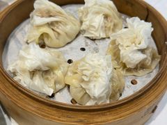 -凯鸽酒楼(操场城店)