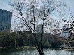 -天鹅湖体育公园