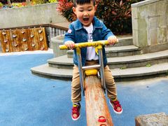 -上海崇明金茂凯悦酒店