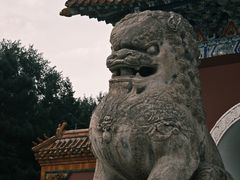 -北陵公园