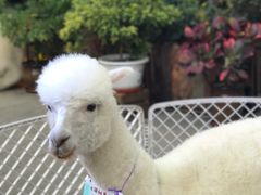 -胡桃里音乐酒馆(曲江店)