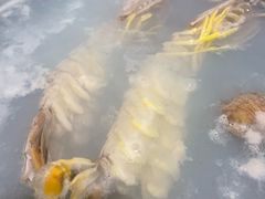 -凯华海鲜火锅·传承三十六年