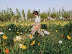 -汉长安城未央宫国家考古遗址公园