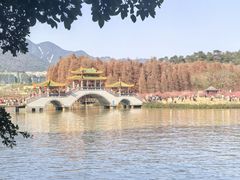 -星湖旅游景区七星岩