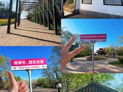 -沈阳植物园