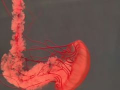 -多彩贵州城极地海洋世界