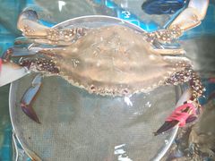 -渔码头食府(蓬莱阁店)